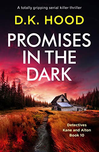 Promises In The Dark